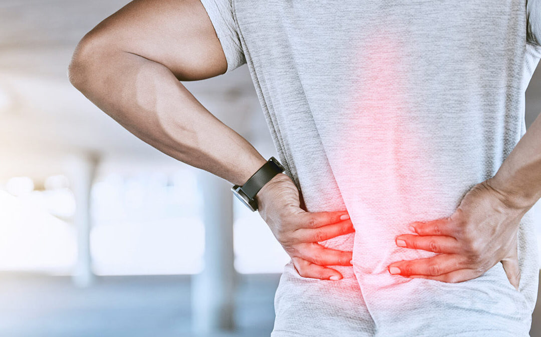 Coluna Lombar Saudável